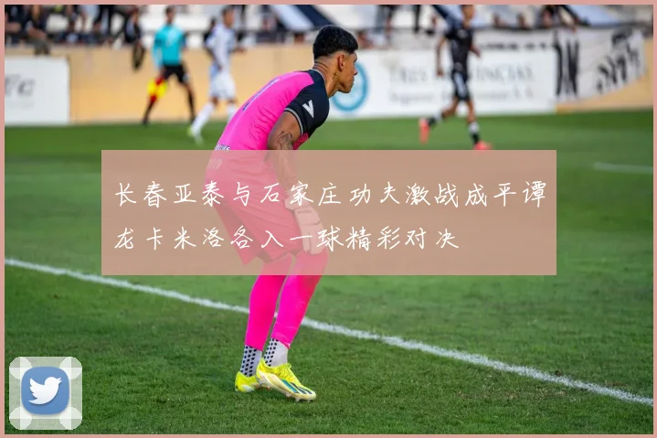 长春亚泰与石家庄功夫激战成平谭龙卡米洛各入一球精彩对决