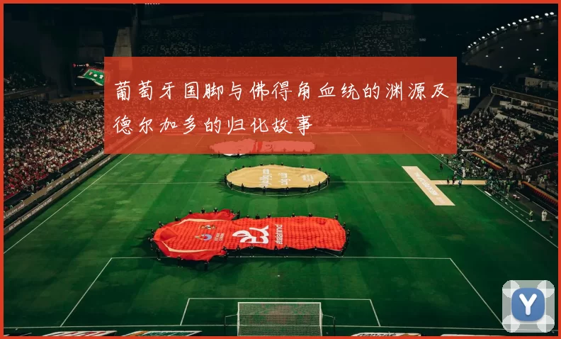 葡萄牙国脚与佛得角血统的渊源及德尔加多的归化故事